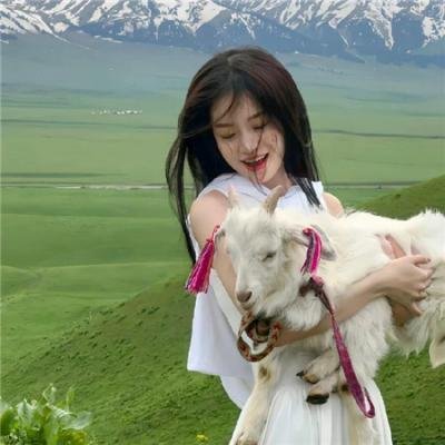 古宅老友记第五季